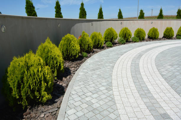 Best Driveway Paving Near Me  in Holland, MI